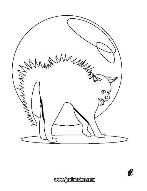 Coloriage-CHAT-HALLOWEEN-Chat-herisse.jpg