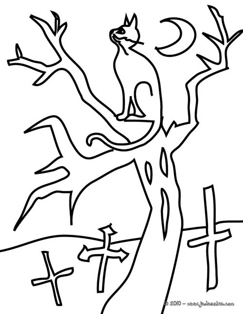 Coloriage-CHAT-HALLOWEEN-chat-arbre-a-colorier.jpg