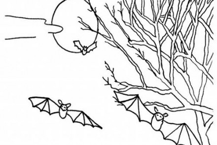 Coloriage-CHAUVE-SOURIS-HALLOWEEN-Coloriage-de-la-pleine-lune.jpg