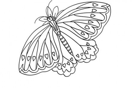 Coloriage-Canon-PIXMA-Un-papillon-a-imprimer-avec-Canon-PIXMA.jpg