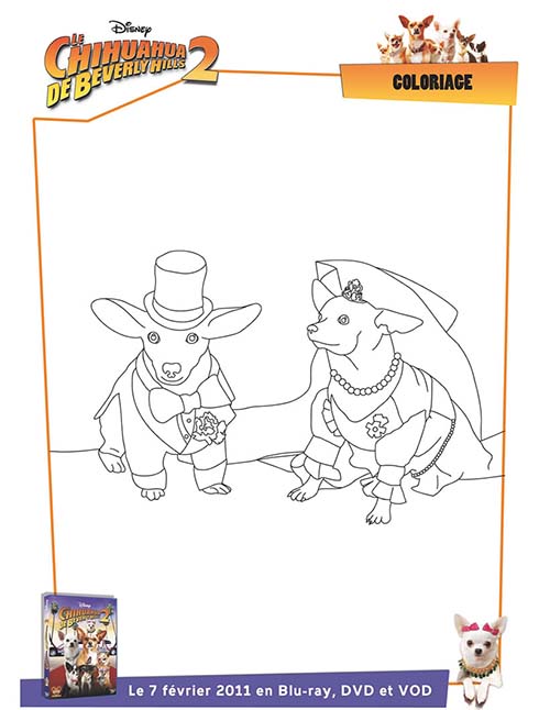 Coloriage-DISNEY-Couple-de-chiens-Le-Chihuahua-de-Beverly-Hills-2.jpg