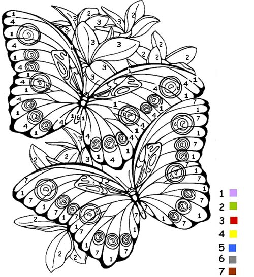 Coloriage-Magique-Papillon.jpg