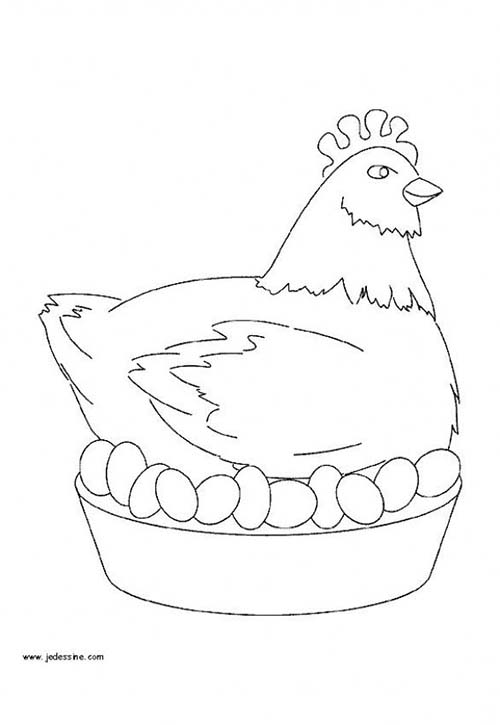 Coloriage-POULE-DE-PAQUES-Coloriage-dune-poule.jpg