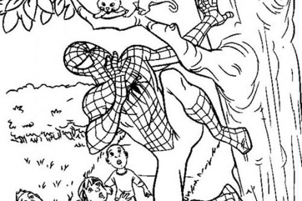 Coloriage-Spiderman-Spiderman-sauve-un-chat.jpg