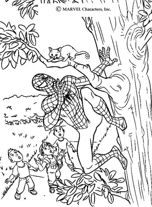 Coloriage-Spiderman-Spiderman-sauve-un-chat.jpg