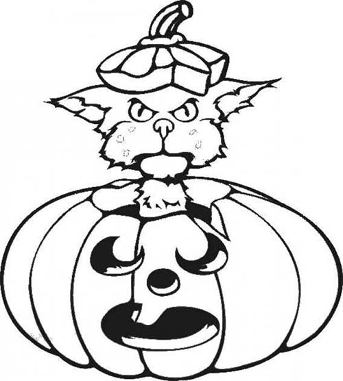 Coloriages-Citrouilles-Halloween-Coloriage-dune-citrouille-et-dun-chat.jpg