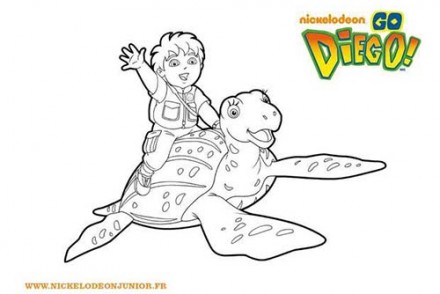 Coloriages-DIEGO-Coloriage-DIEGO-et-la-tortue.jpg