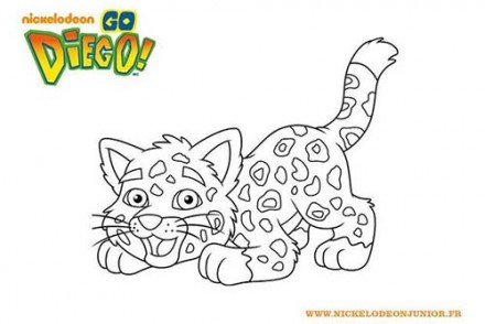 Coloriages-DIEGO-Coloriage-Tigre-de-DIEGO.jpg