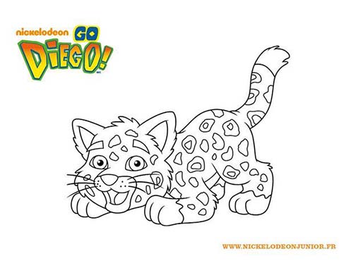 Coloriages-DIEGO-Coloriage-Tigre-de-DIEGO.jpg