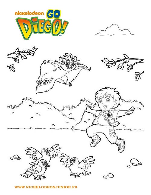 Coloriages-DIEGO-DIEGO-et-les-animaux-a-colorier.jpg