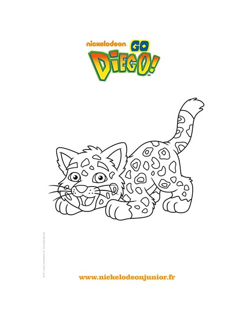 Coloriages-DIEGO-Le-jaguar-de-DIEGO-a-colorier-gratuitement.jpg