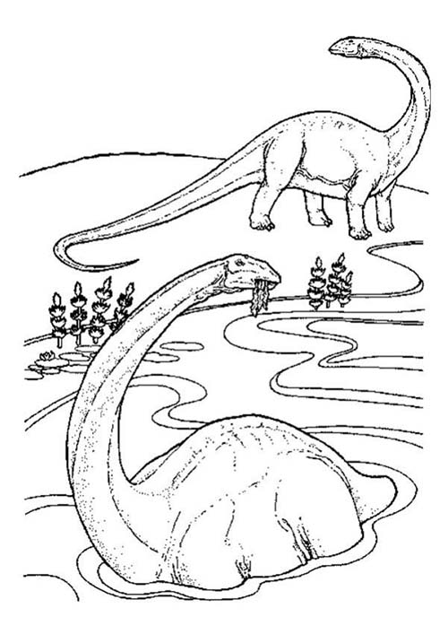 Coloriages-de-Dinosaures-Deux-diplodocus.jpg