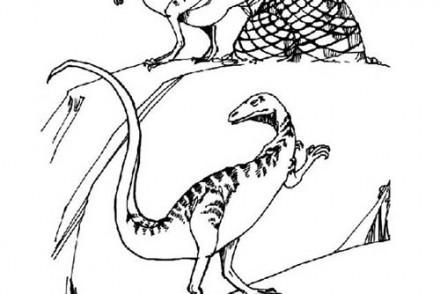 Coloriages-de-Dinosaures-Deux-velociraptor.jpg