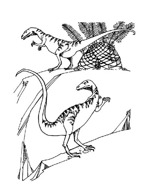 Coloriages-de-Dinosaures-Deux-velociraptor.jpg