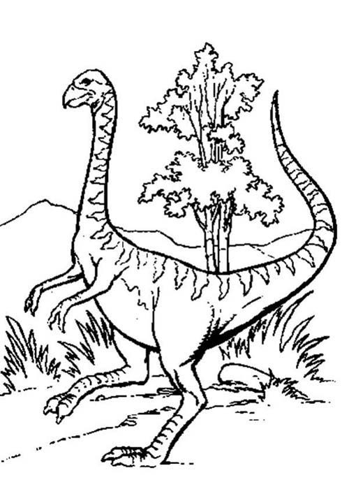 Coloriages-de-Dinosaures-Dinosaure-avec-un-bec.jpg