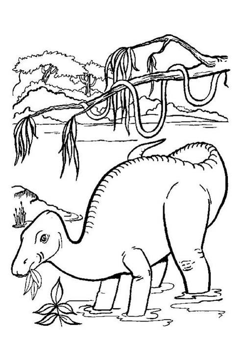 Coloriages-de-Dinosaures-Dinosaure-qui-mange-des-feuilles.jpg