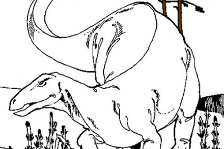 Coloriages-de-Dinosaures-Dinosaures-herbivores.jpg