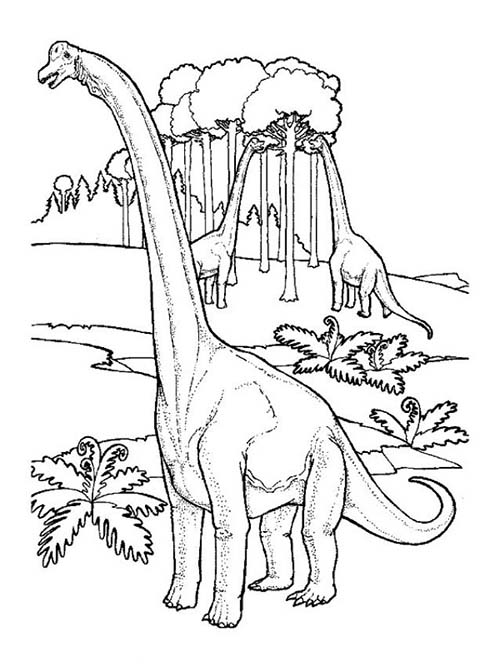 Coloriages-de-Dinosaures-Le-repas-des-brachiosaures.jpg