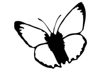 Coloriages-de-papillons-Coloriage-dun-papillon-N-1.jpg