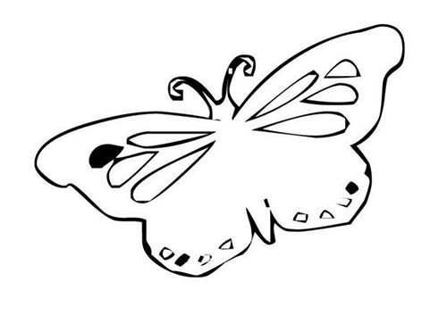 Coloriages-de-papillons-Coloriage-dun-papillon-N-12.jpg