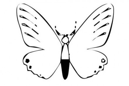 Coloriages-de-papillons-Coloriage-dun-papillon-N-13.jpg