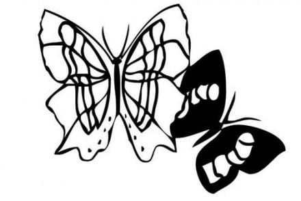 Coloriages-de-papillons-Coloriage-dun-papillon-N-2.jpg