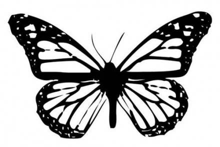 Coloriages-de-papillons-Coloriage-dun-papillon-N-3.jpg