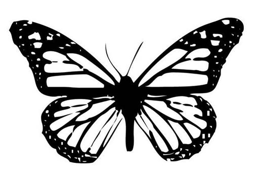 Coloriages-de-papillons-Coloriage-dun-papillon-N-3.jpg