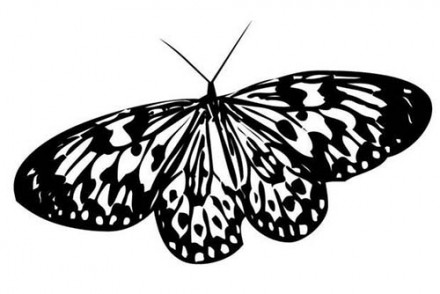 Coloriages-de-papillons-Coloriage-dun-papillon-N-7.jpg