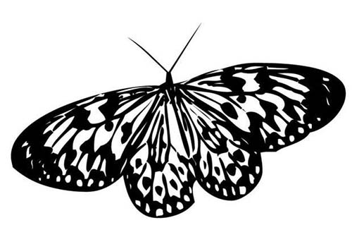 Coloriages-de-papillons-Coloriage-dun-papillon-N-7.jpg