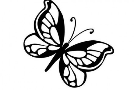 Coloriages-de-papillons-Coloriage-dun-papillon-N-8.jpg