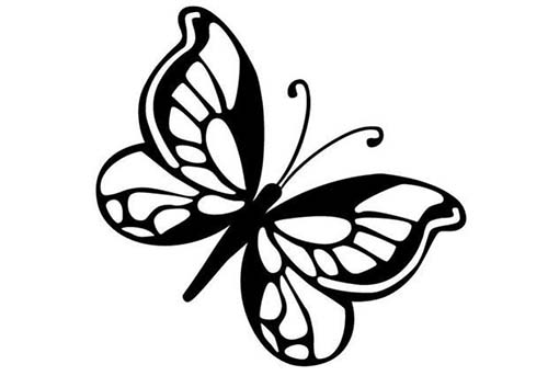 Coloriages-de-papillons-Coloriage-dun-papillon-N-8.jpg