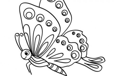 Coloriages-de-papillons-Joli-petit-papillon.jpg