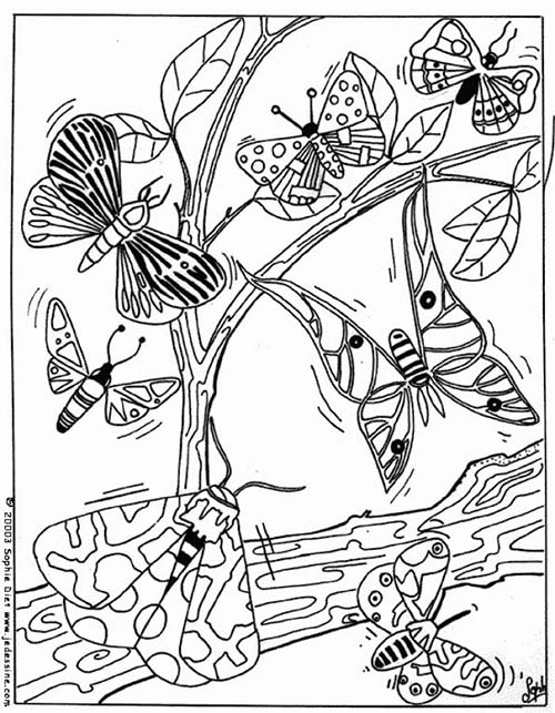 Coloriages-de-papillons-Nuee-de-papillons.jpg