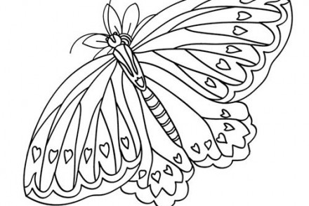 Coloriages-de-papillons-Papillon-a-coeurs.jpg