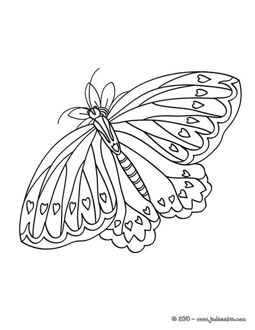 Coloriages-de-papillons-Papillon-a-coeurs.jpg