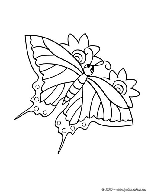 Coloriages-de-papillons-Papillon-dans-les-airs.jpg