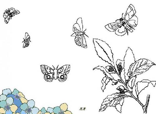 Coloriages-de-papillons-Papillons-qui-volent.jpg